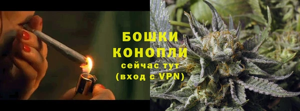 спайс Михайлов