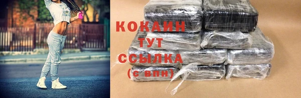 стафф Медногорск