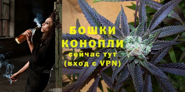 спайс Михайлов