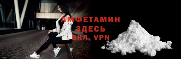 прущие грибы Медвежьегорск