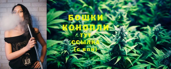 стафф Медногорск