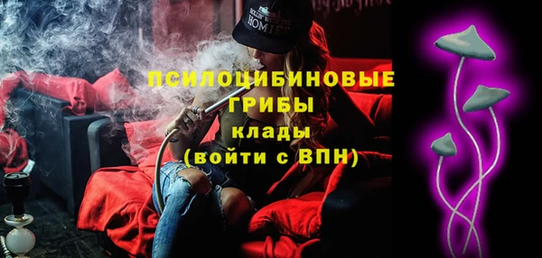прущие грибы Медвежьегорск