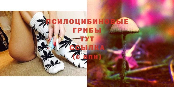 прущие грибы Медвежьегорск